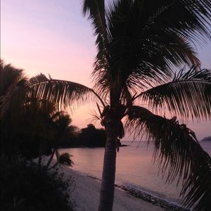 Meet your Posher, Mimi